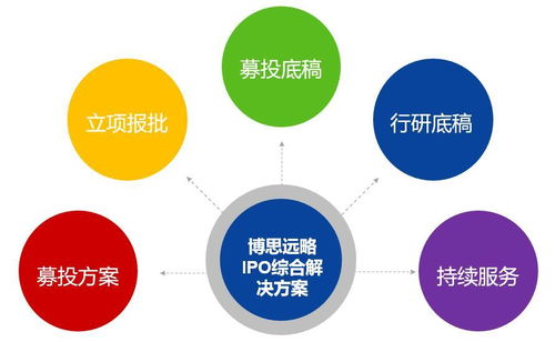 募投項目可行性研究與細分市場行業(yè)調查的詳細內容解析